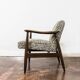 Mid Century Armchair Gfm 87 By Juliusz Kędziorek, Gfm, Poland, 1960s