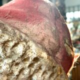 Head decoration santa claus