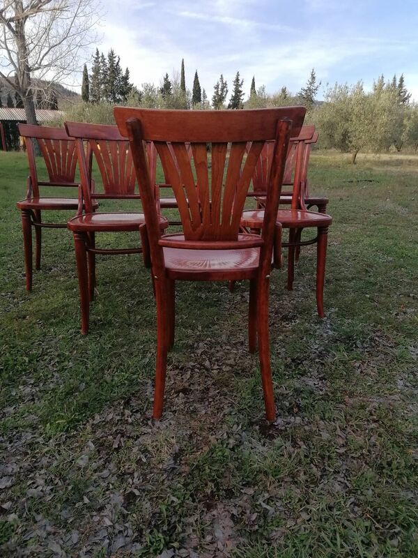 Lot de 6 chaises bistrot vintage en bois courbé