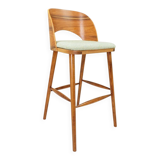 Brasil Apple Green Granola Palisander Bar Stool