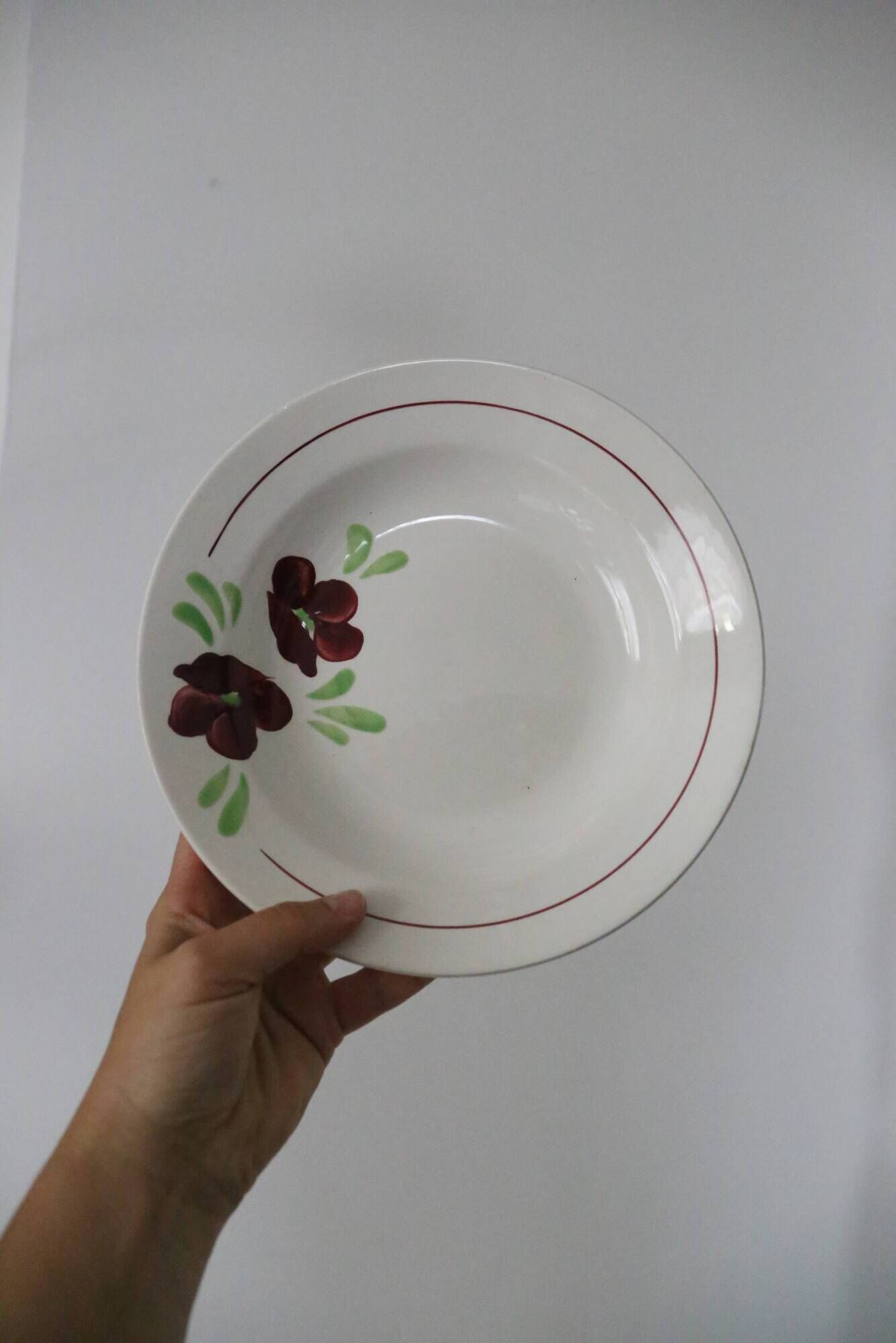Set of 9 Salins hollow plates, Ninon pattern, French vintage, authentic, rare, countryside