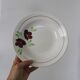 Set of 9 Salins hollow plates, Ninon pattern, French vintage, authentic, rare, countryside