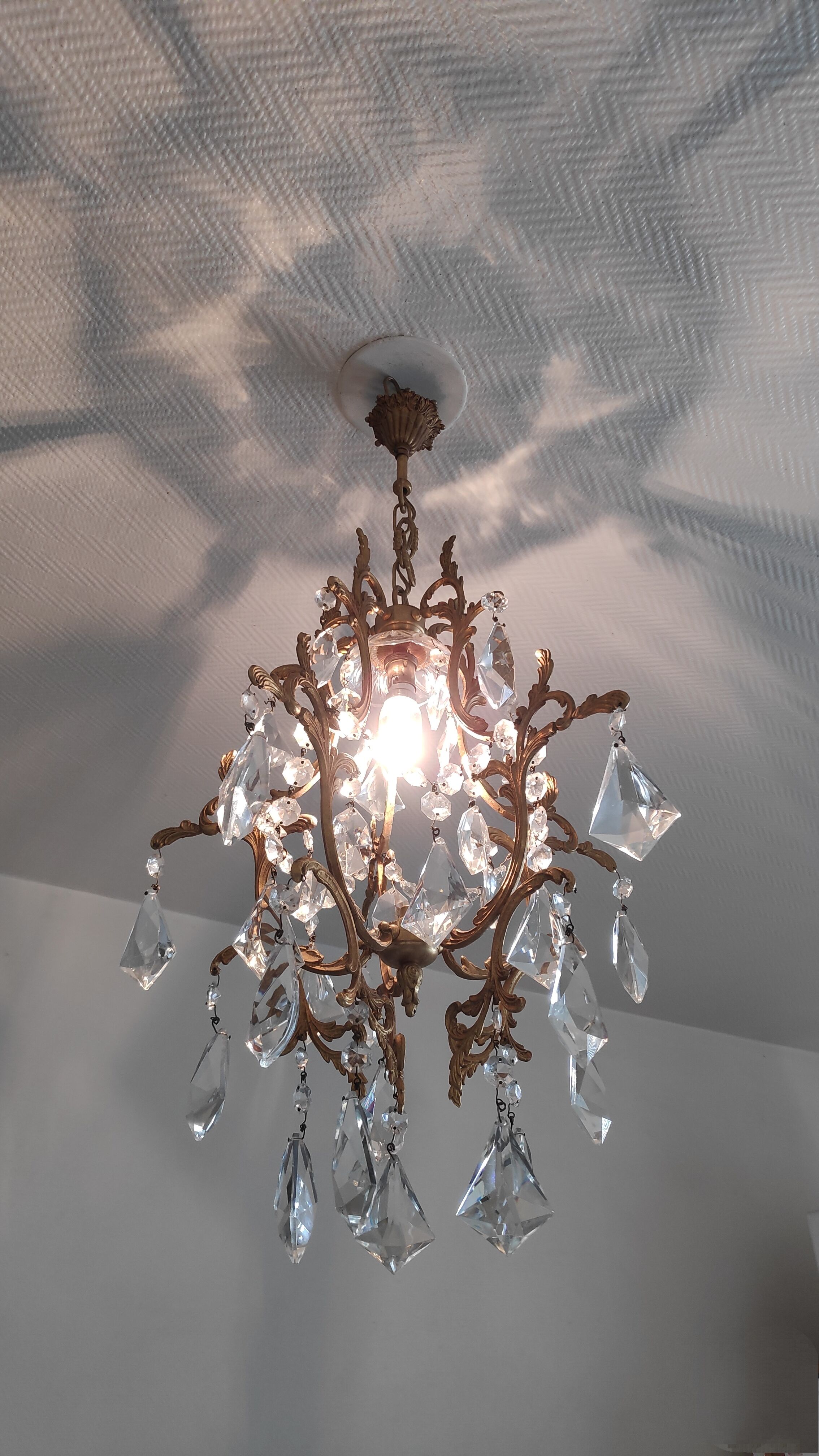 Bronze cage chandelier and crystal grapevines