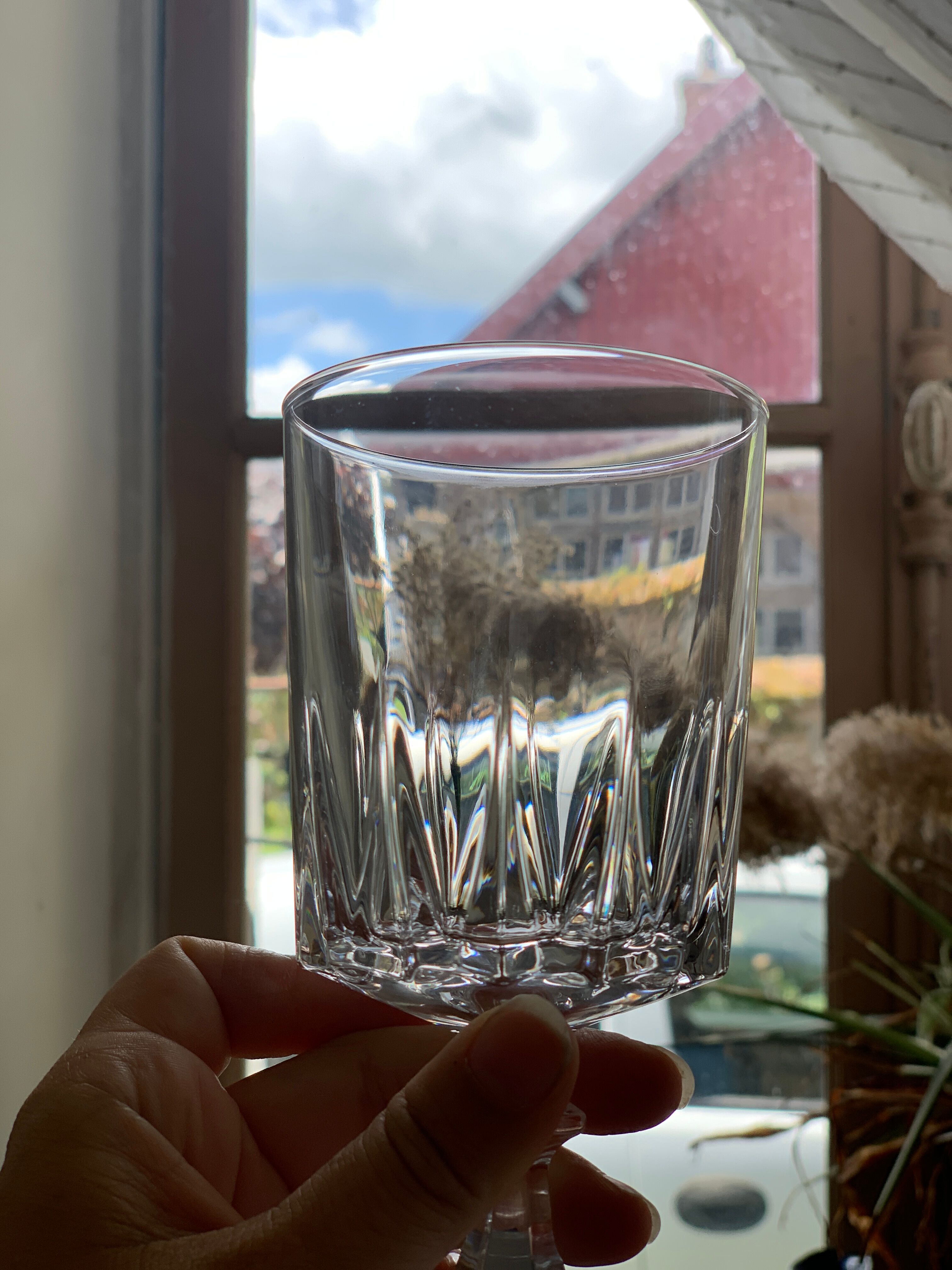 Crystal wine glasses