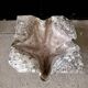 Vintage Handkerchief Planter by Willy Guhl