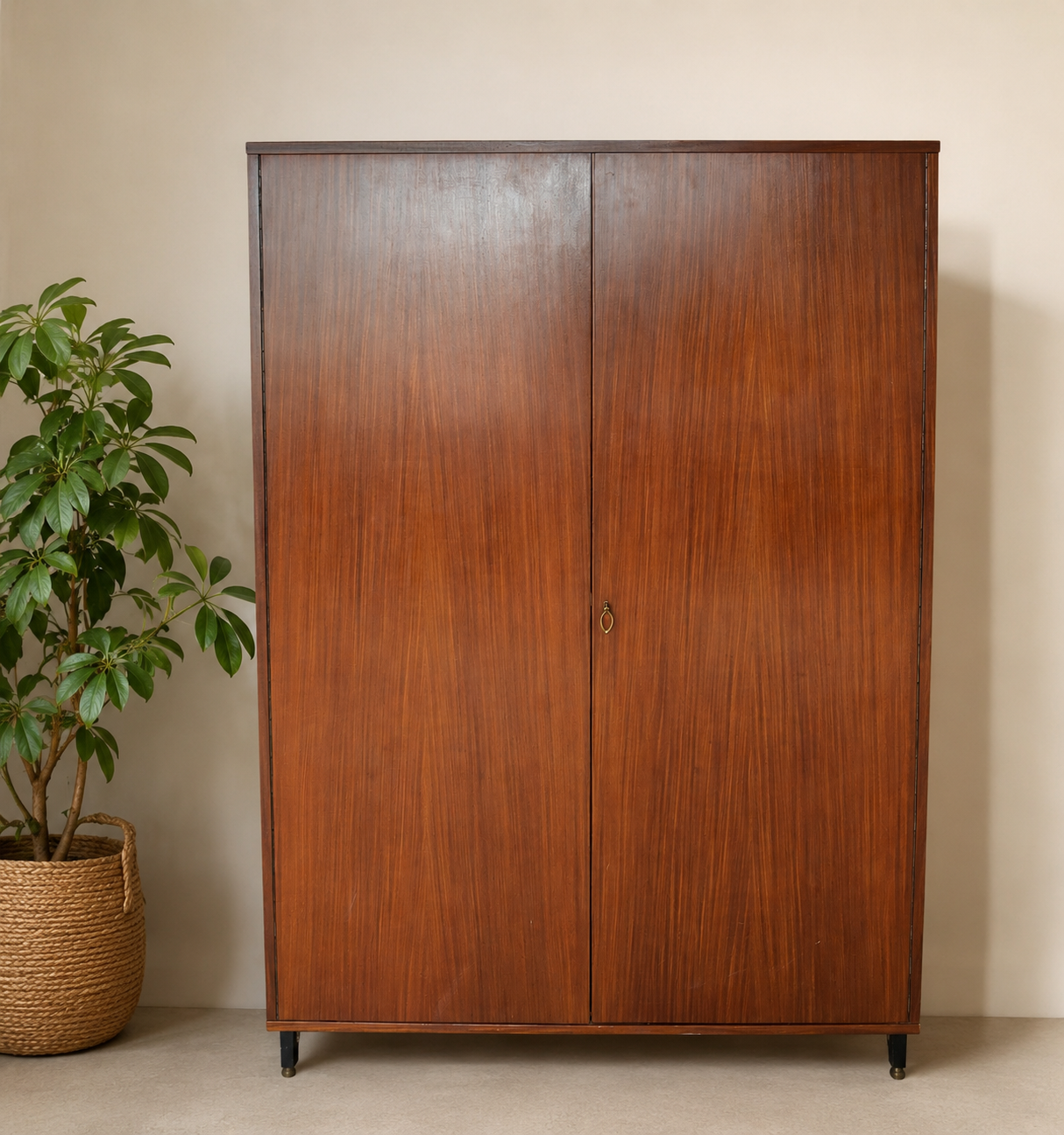 Armoire vintage scandinave en bois – penderie et étagères – années 60