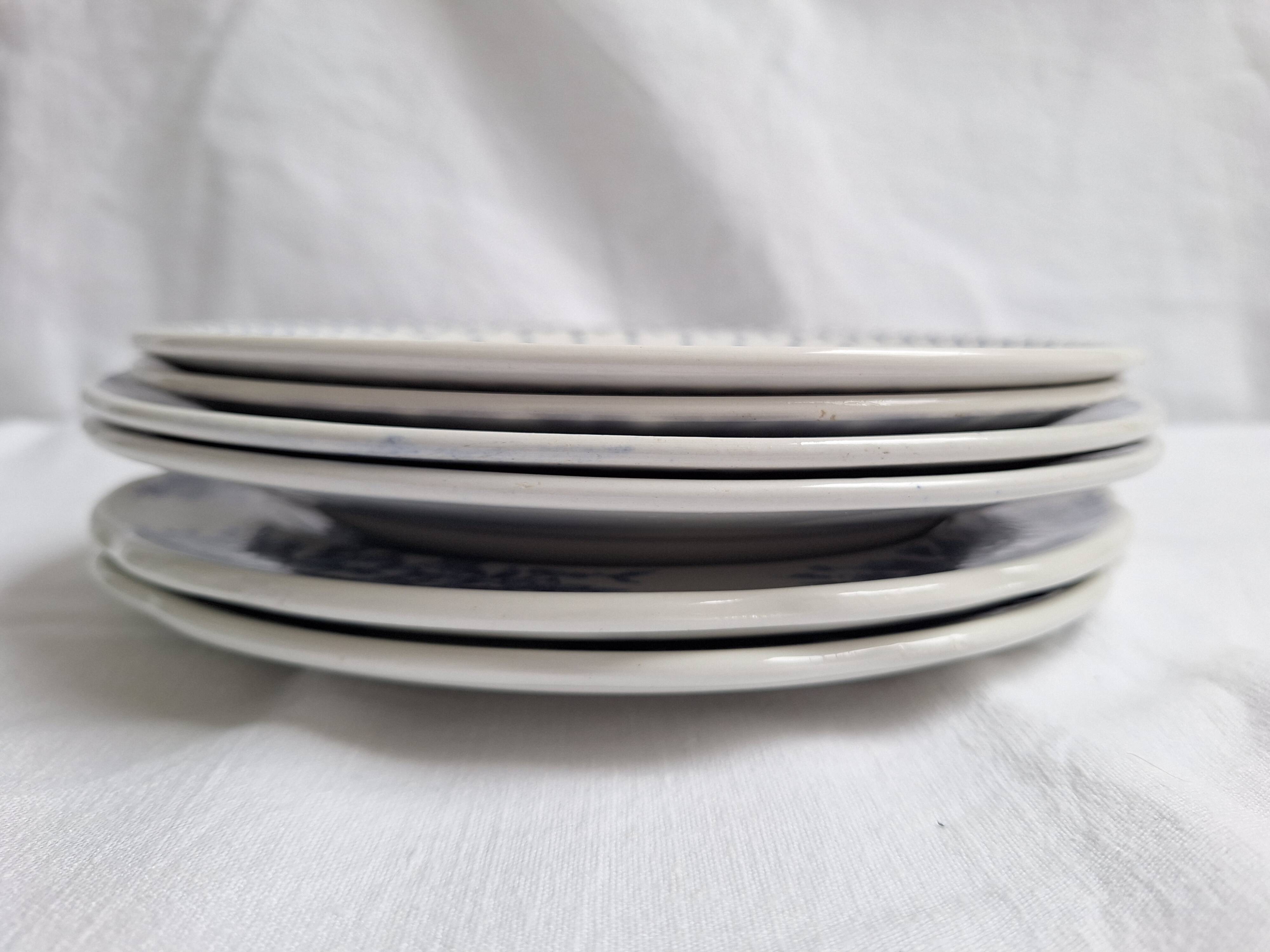 Vintage blue dinner plates