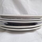 Vintage blue dinner plates