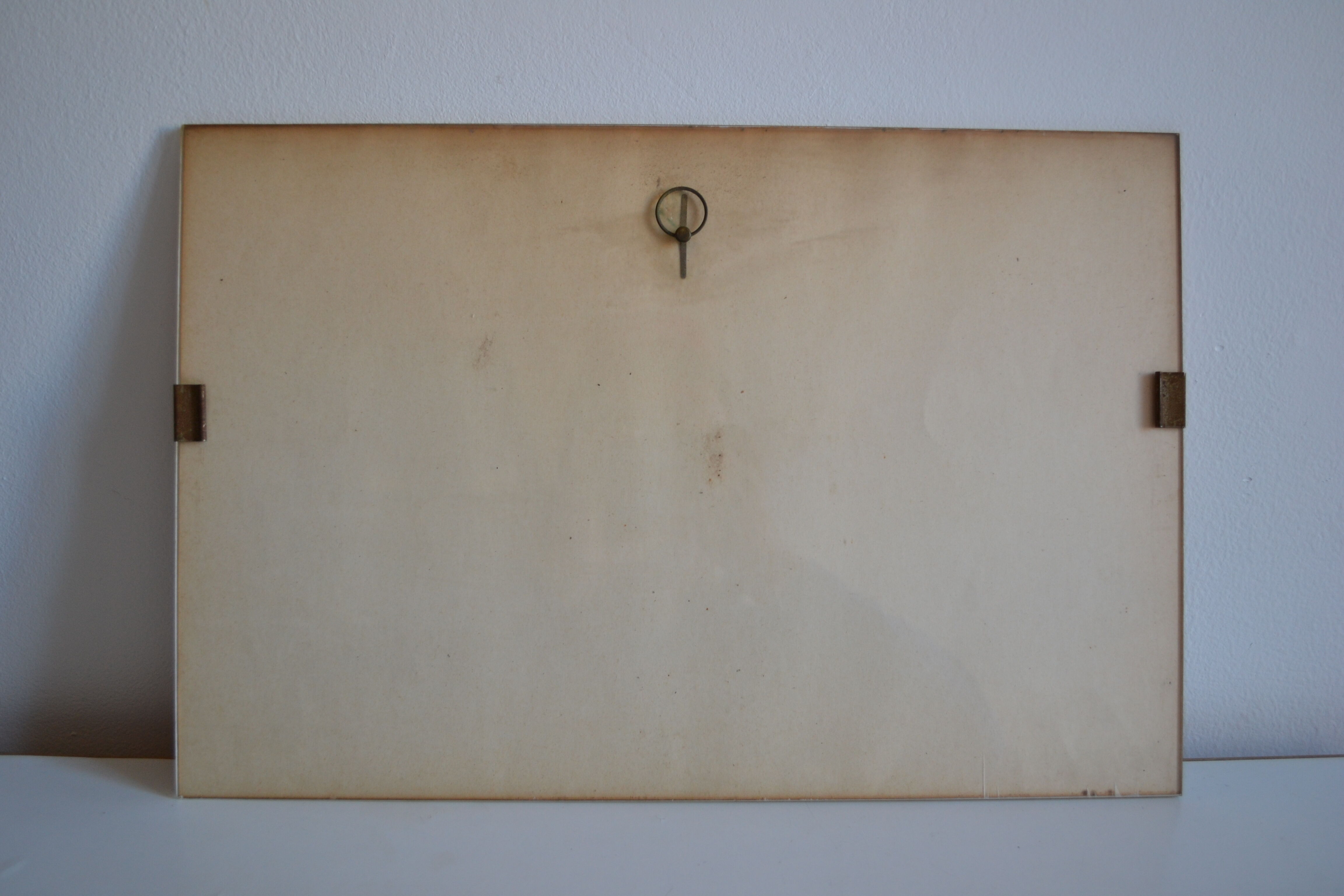 Vintage animal print ducks