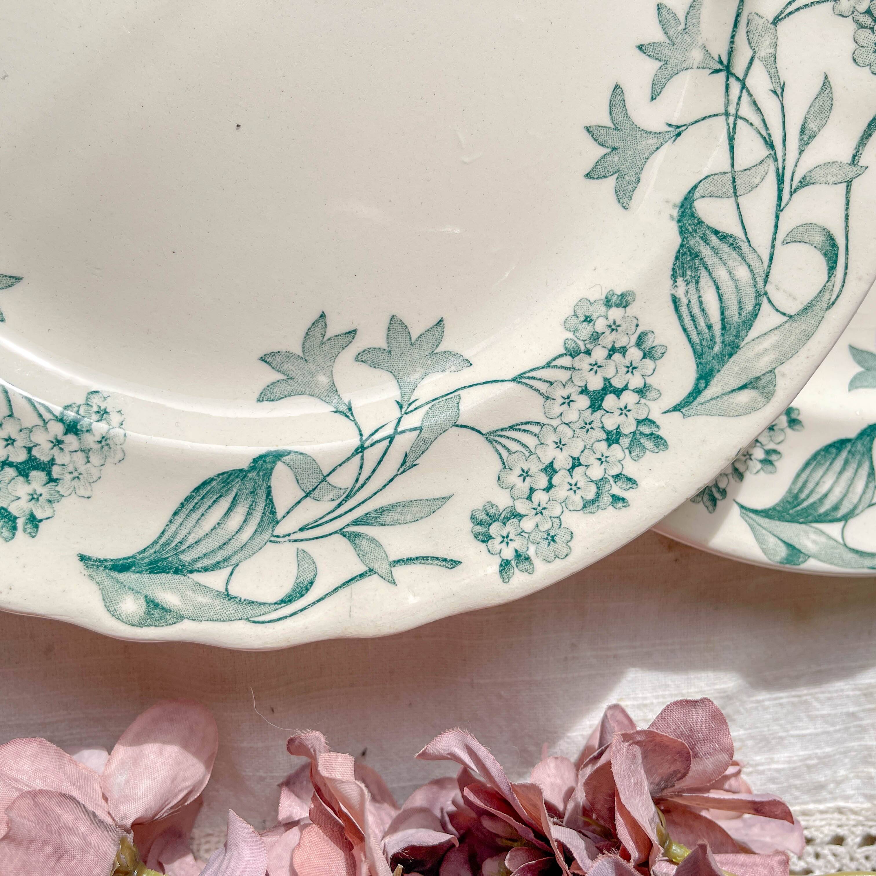 Set of 6 Antique Flat Plates Terre de Fer "Lilac" - Longchamp 19th Century