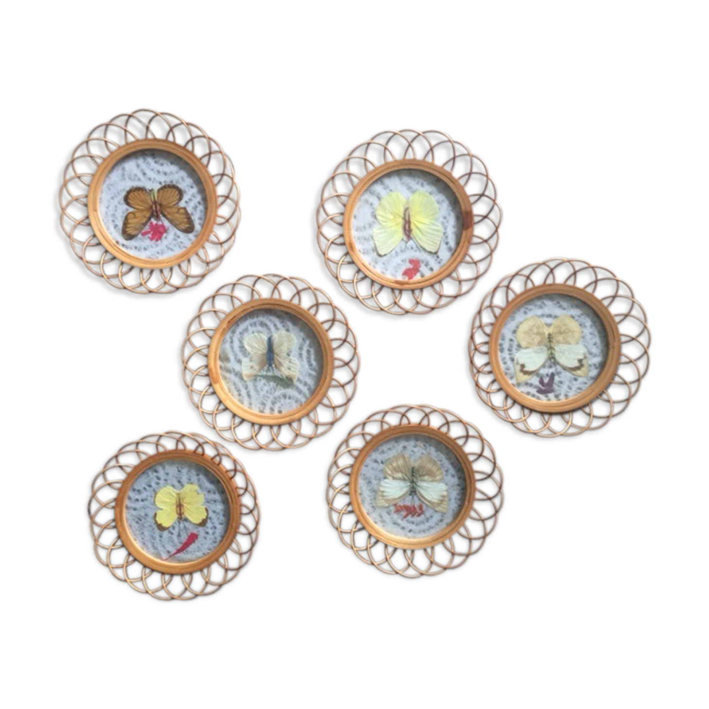 Butterfly coasters in rattan and glass