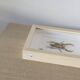 Hand-embroidered insect tableau (unique piece)
