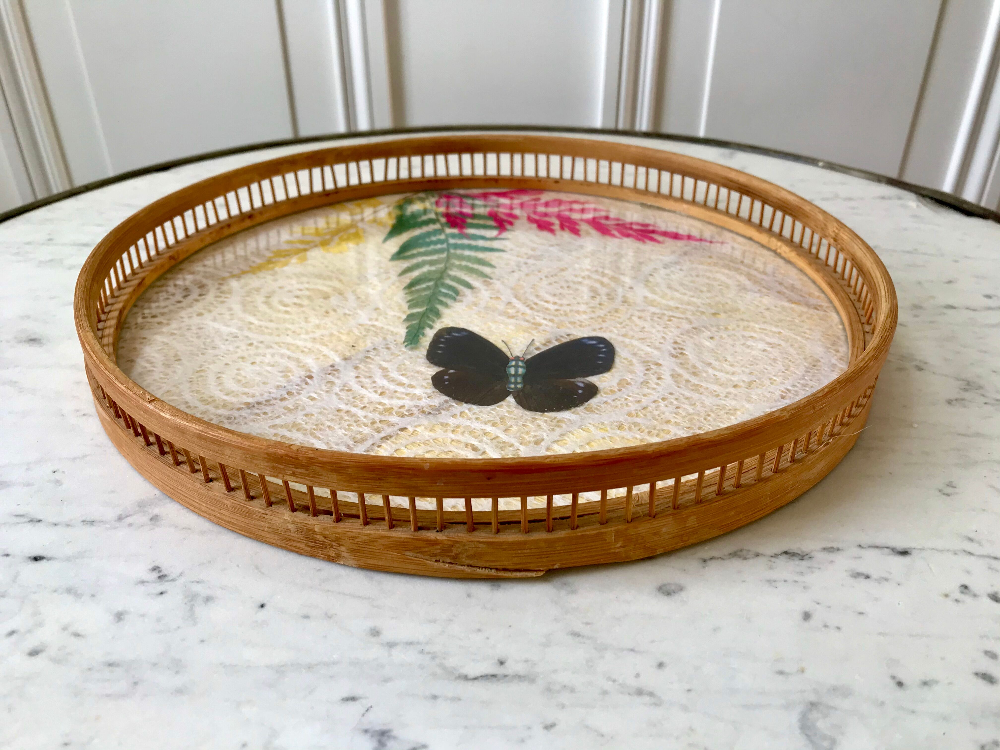 Rattan and butterfly tray in taxyderma 60s-70s