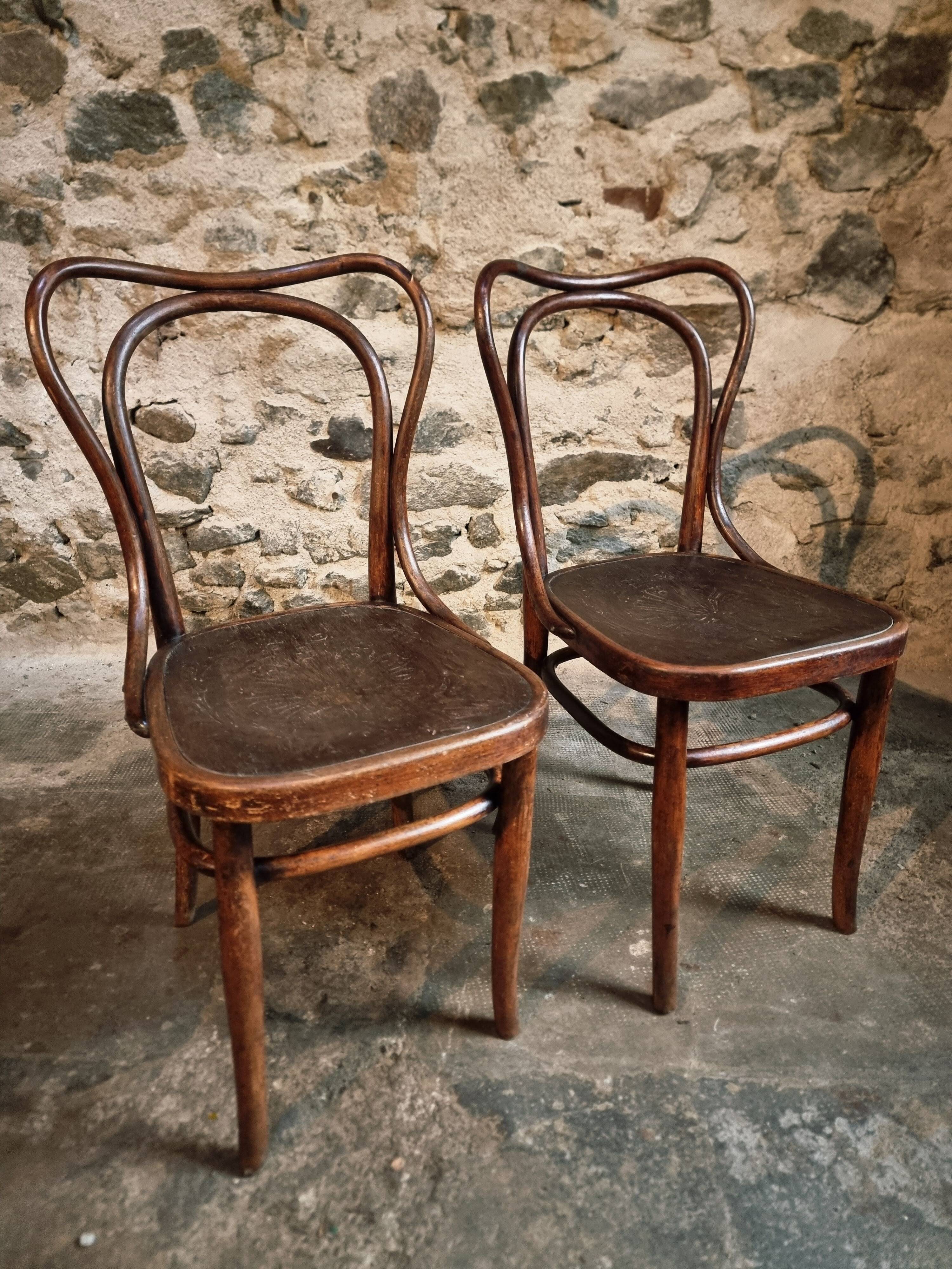 Pair of curved wooden chairs by Jacob & Josef Kohn, Vienna circa 1900