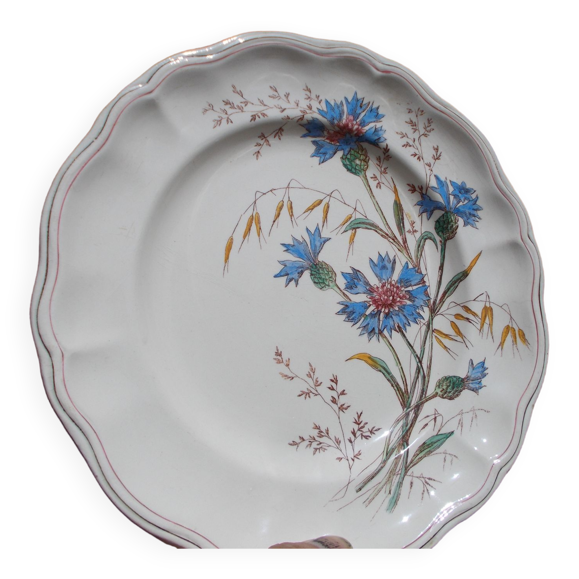 6 Longchamp Marguerite blue earthenware plates