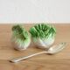 Salt and pepper fennel in vintage slurry