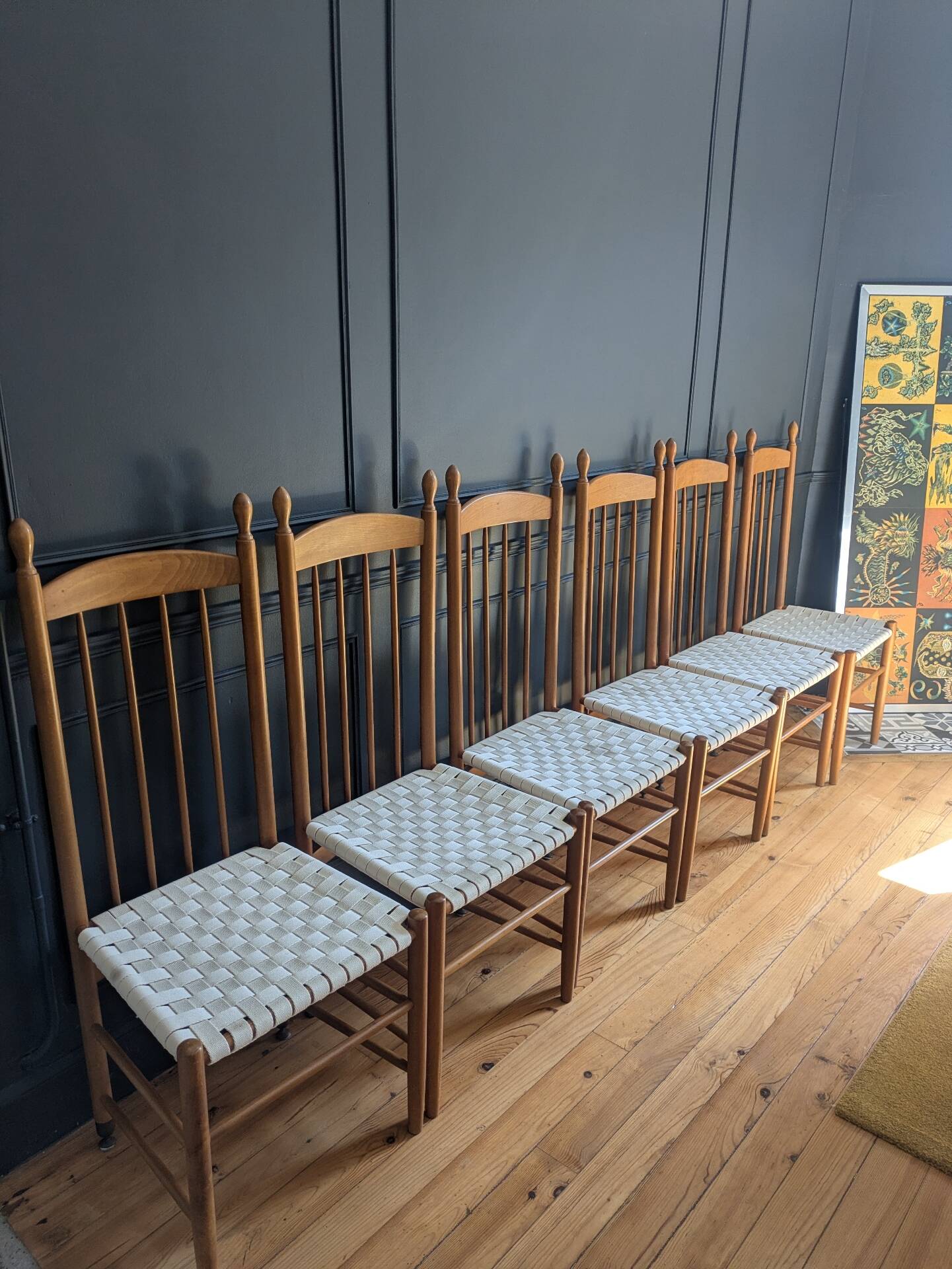 Rare ensemble de six chaises modele"Racine" de Roche Bobois.