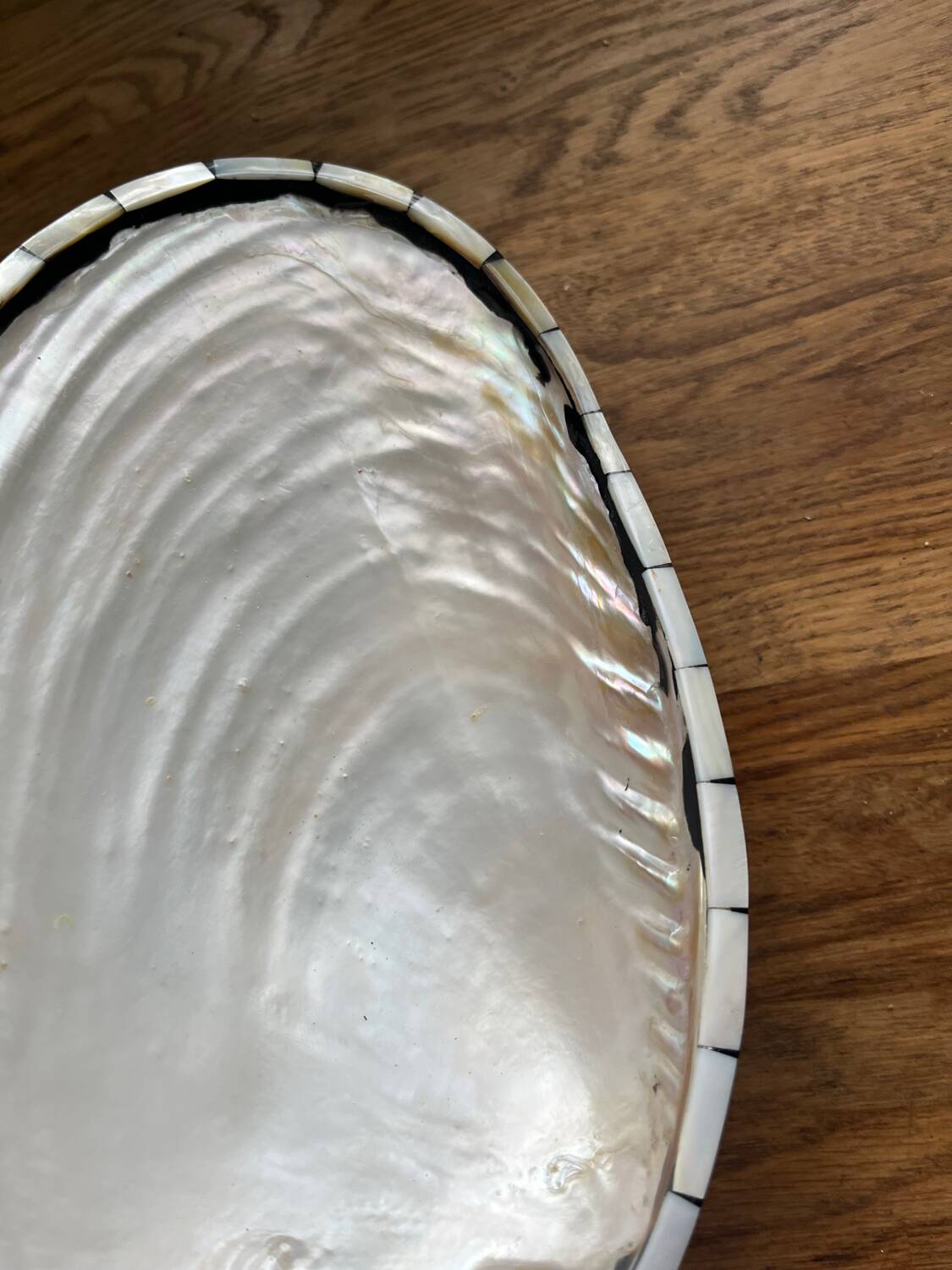 Vide poche coquille en nacre