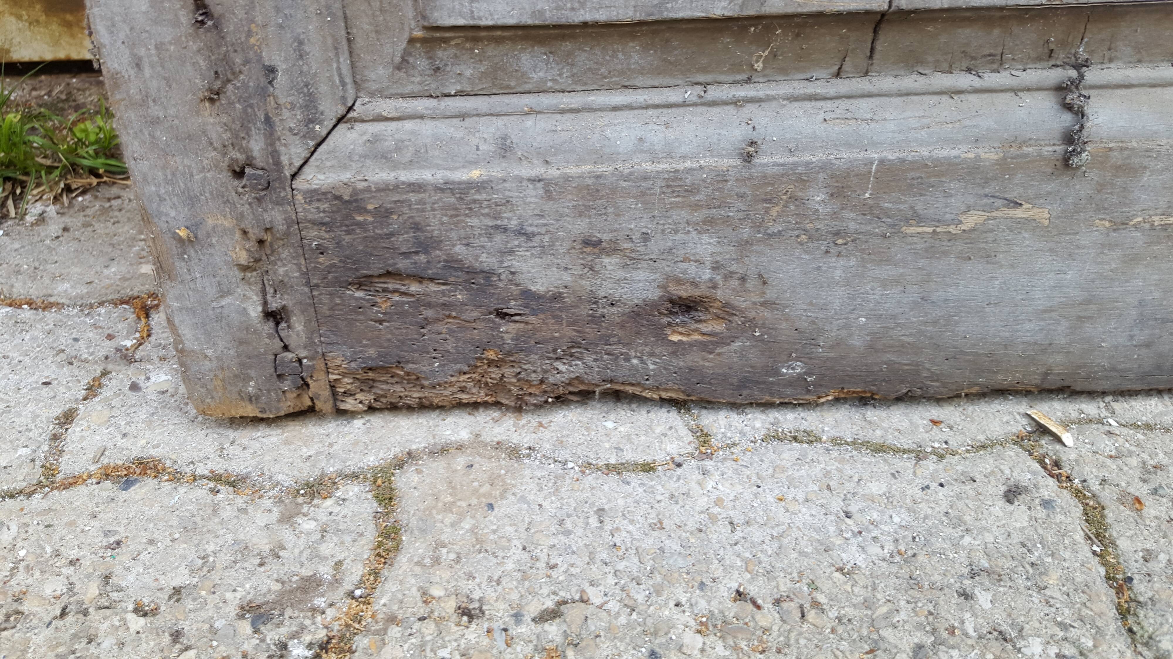18th century glass door patina original mustache fittings