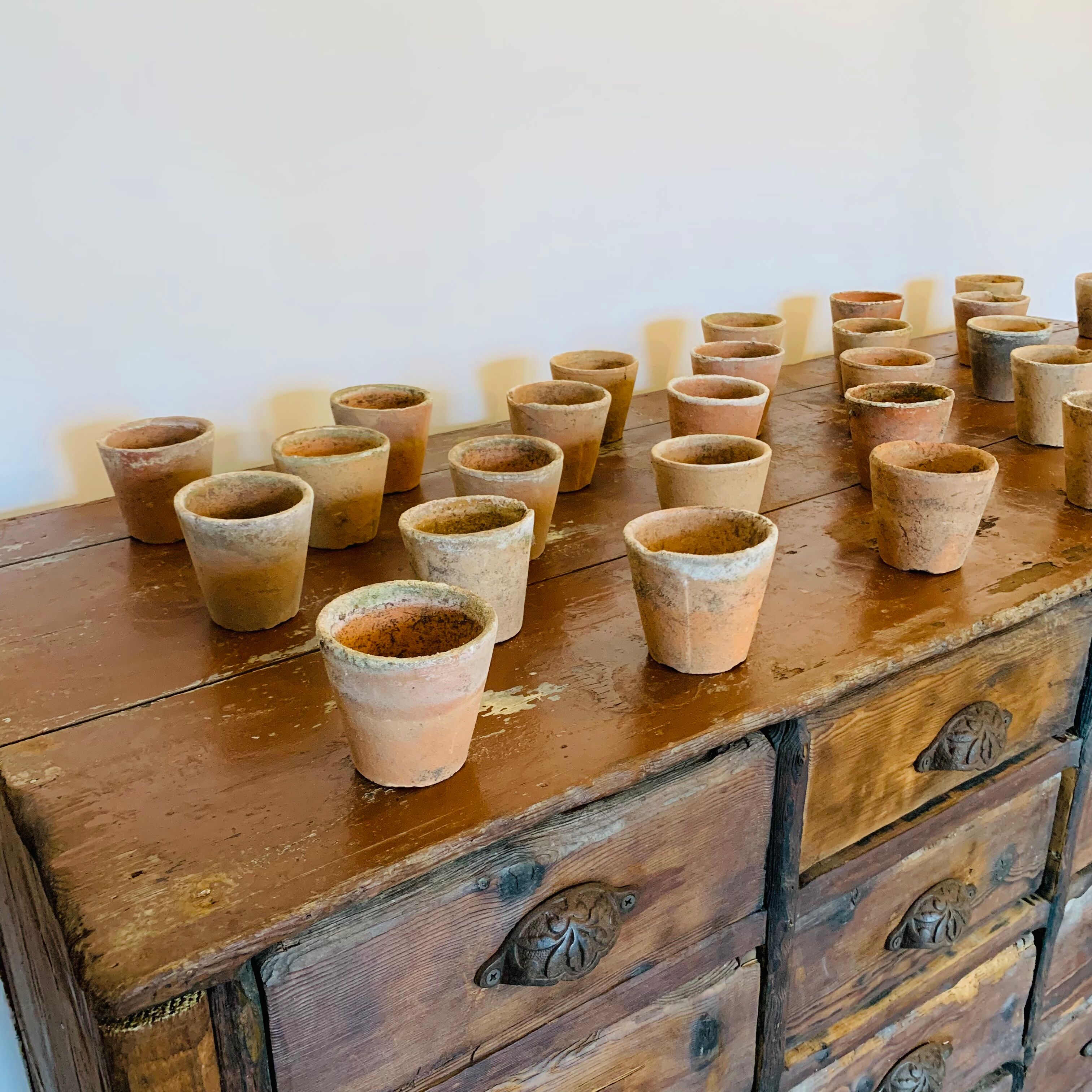 Lot of 30 terracotta pots circa 1930 graineterie