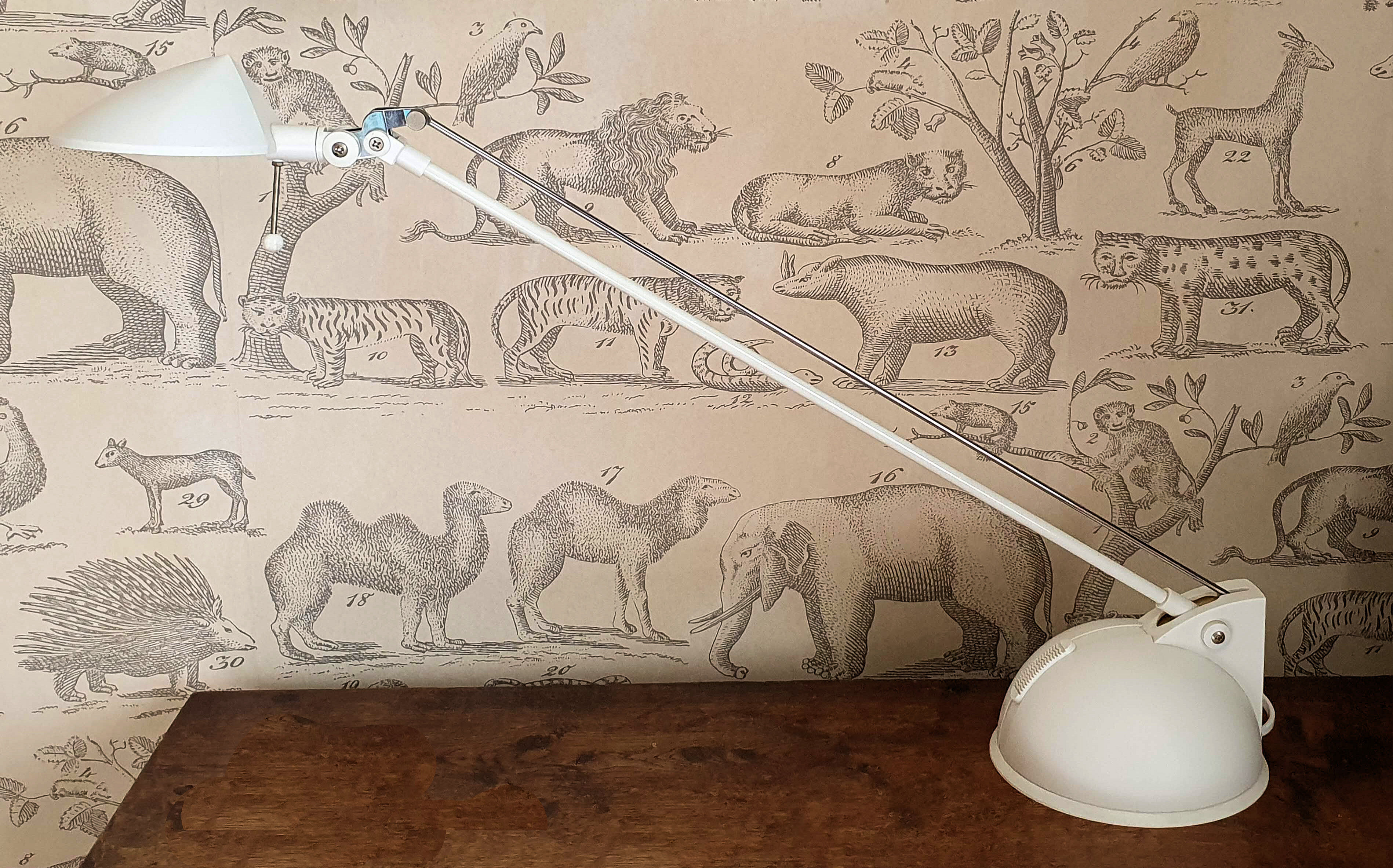 Articulated lamp design 70/80 brand Brilliant