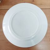 Round iron earth dish