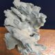Corail bleu ancien