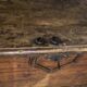 Old wooden chest