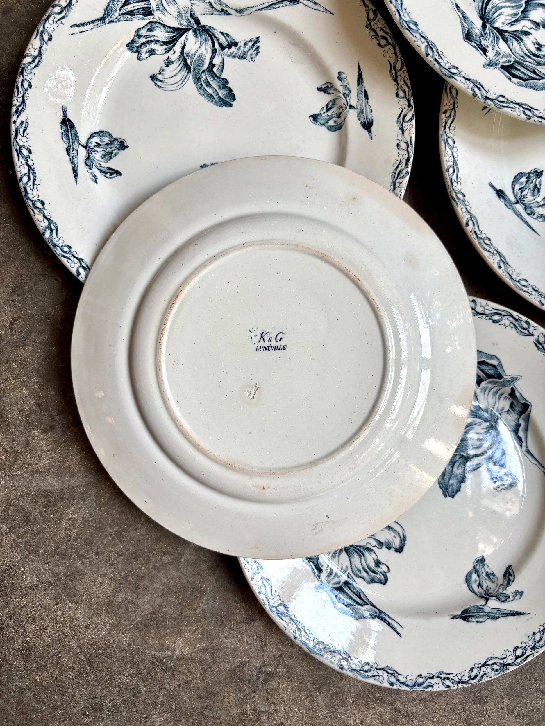 6 flat plates Lunéville in blue ironstone, "Tulip" service