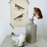 Stoneware apothecary bottle
