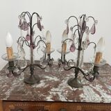 pair of chandeliers, lamp, silver-plated metal, crystal, tassels, florets, pendant, rosettes