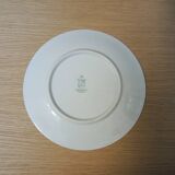 11 Antique Dessert Plates - Rheinpfalz Hartporzellan Germany