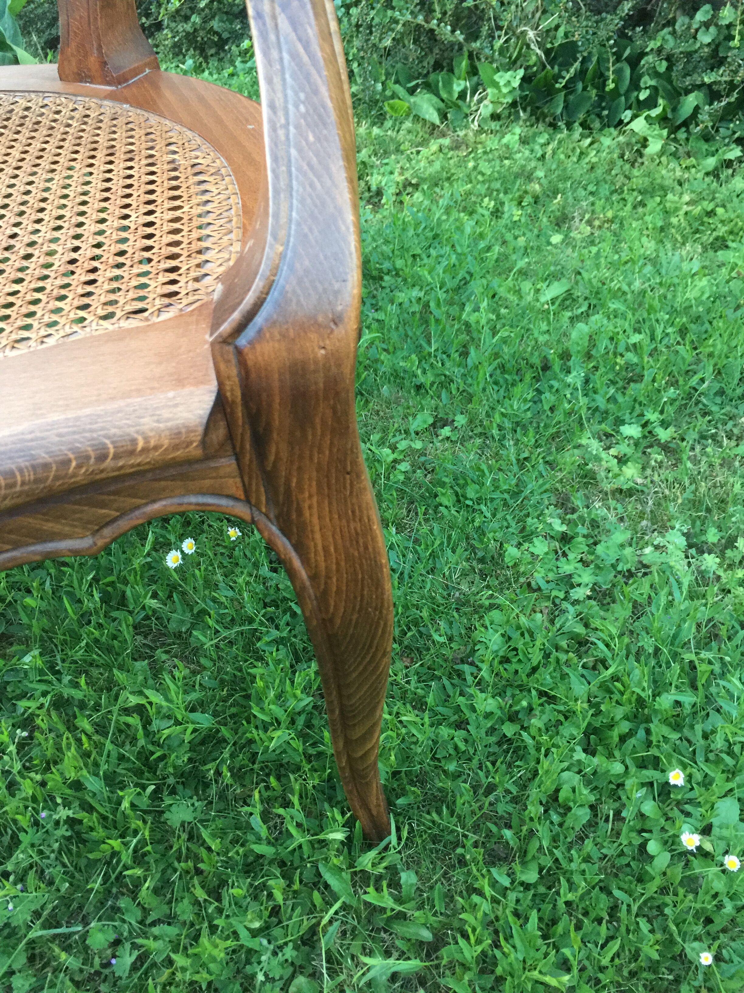 Canine Louis XV style office armchair