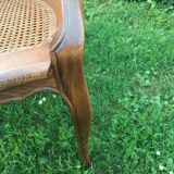 Canine Louis XV style office armchair