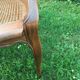 Canine Louis XV style office armchair