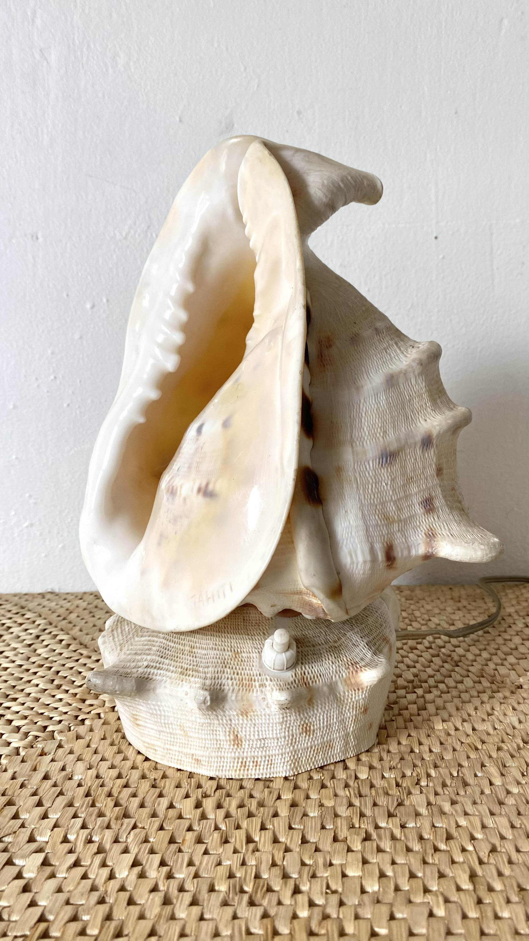 Lampe veilleuse en coquillage casque royal Tahiti