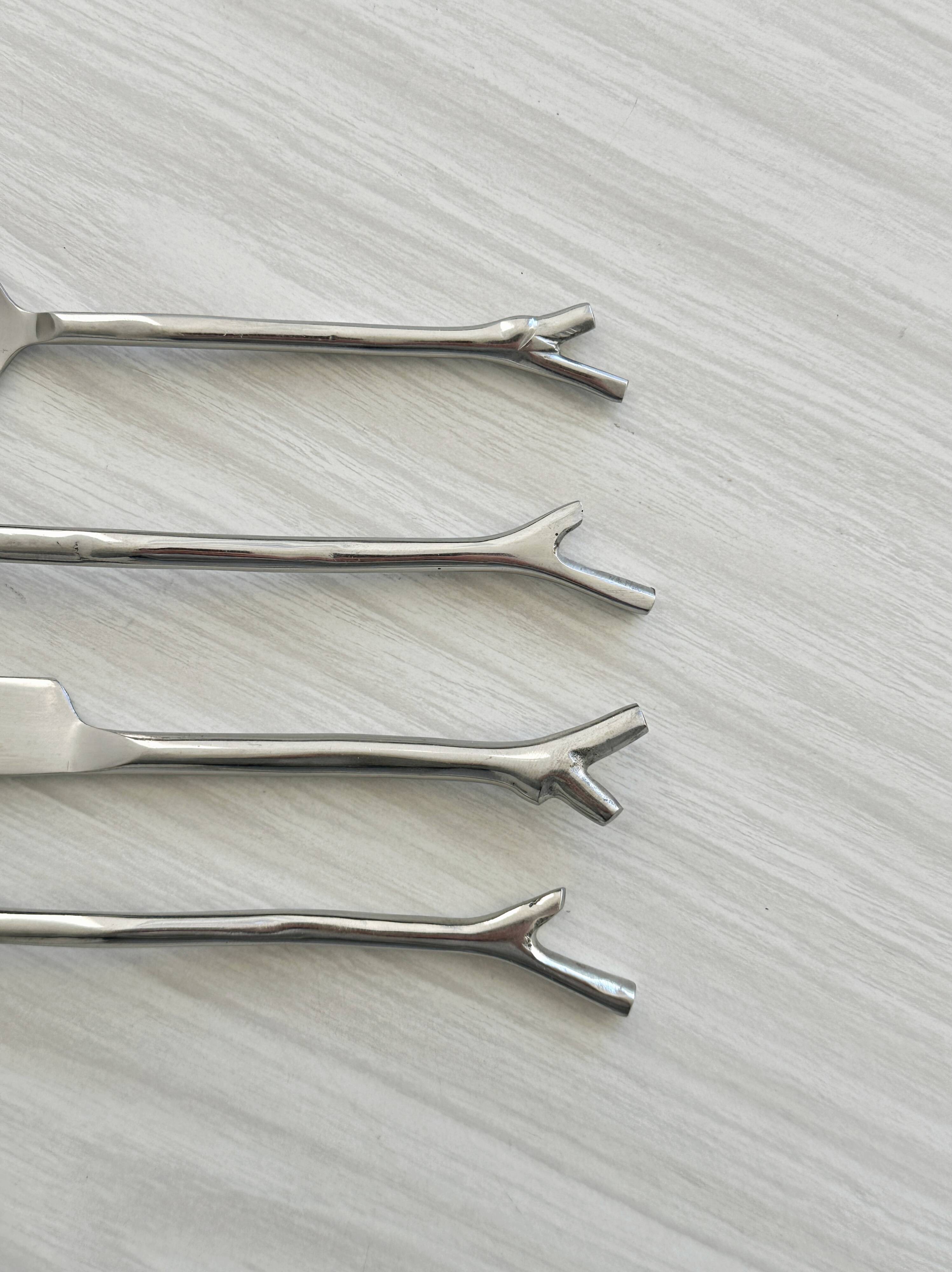Set of 20 stainless steel cutlery with branch pattern.