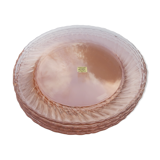 6 rosaline flat plates