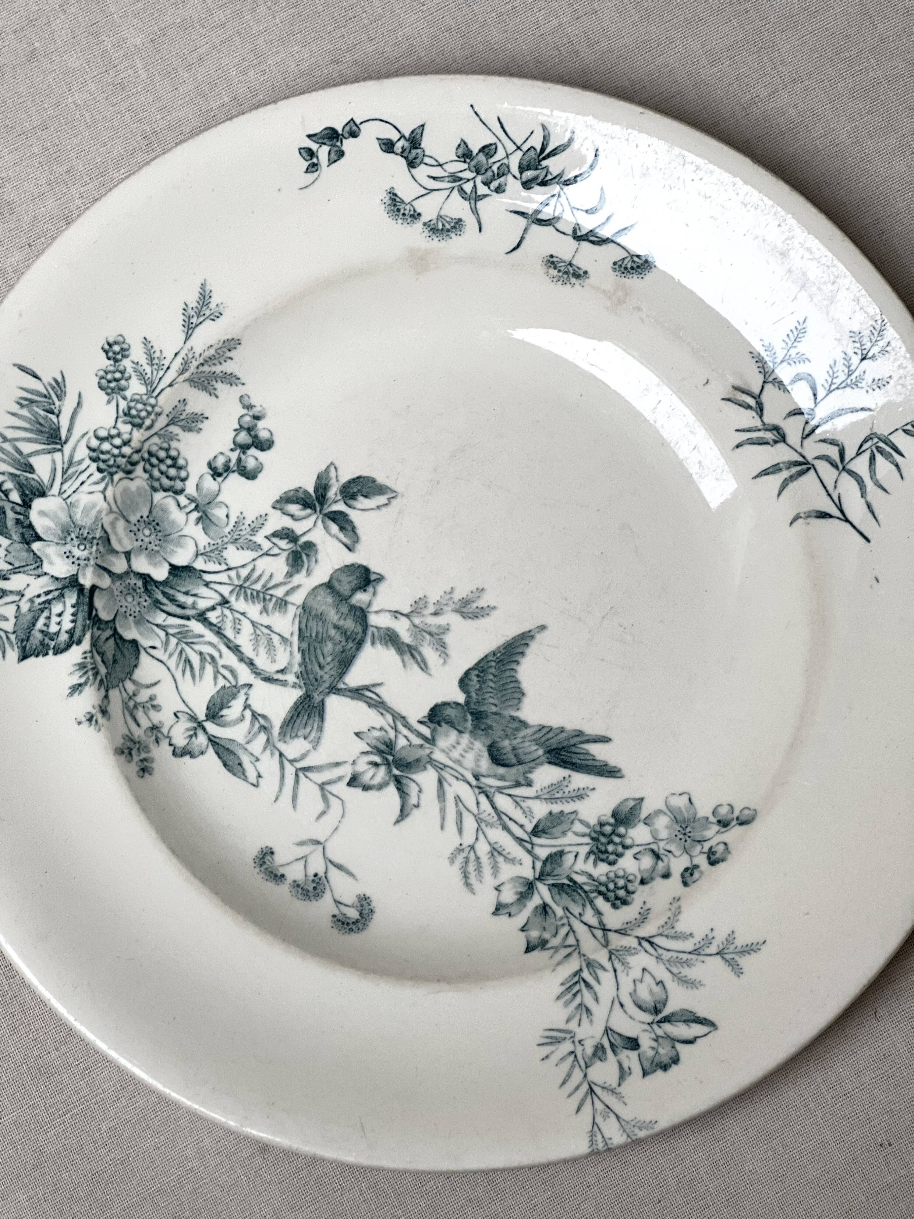 Iron earth plates birds Longwy