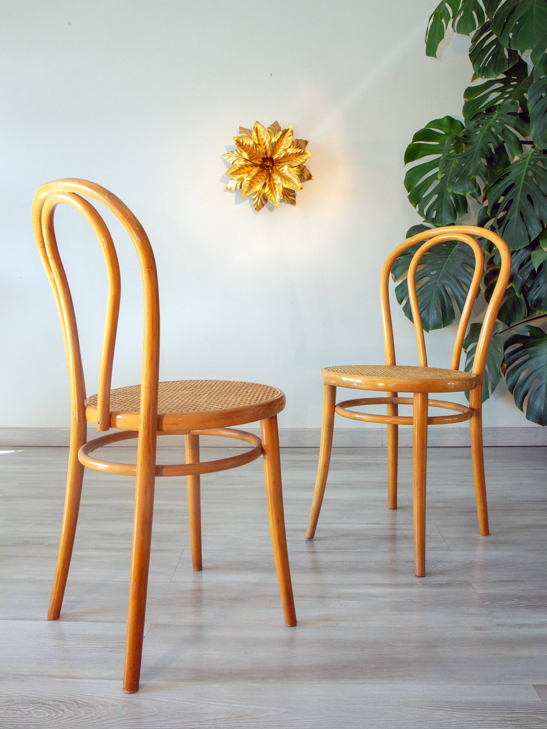 Pair of 1970s bistro chairs in bentwood and caning.