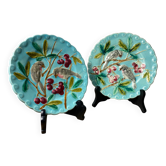 Assiettes en majolique de Sarreguemines