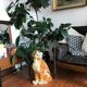 Tiger in earthenware