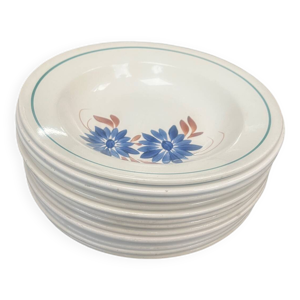 Assiettes creuses terre - fer