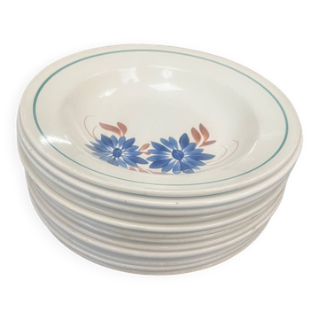 Assiettes creuses terre de fer HBCM modèle Reine
