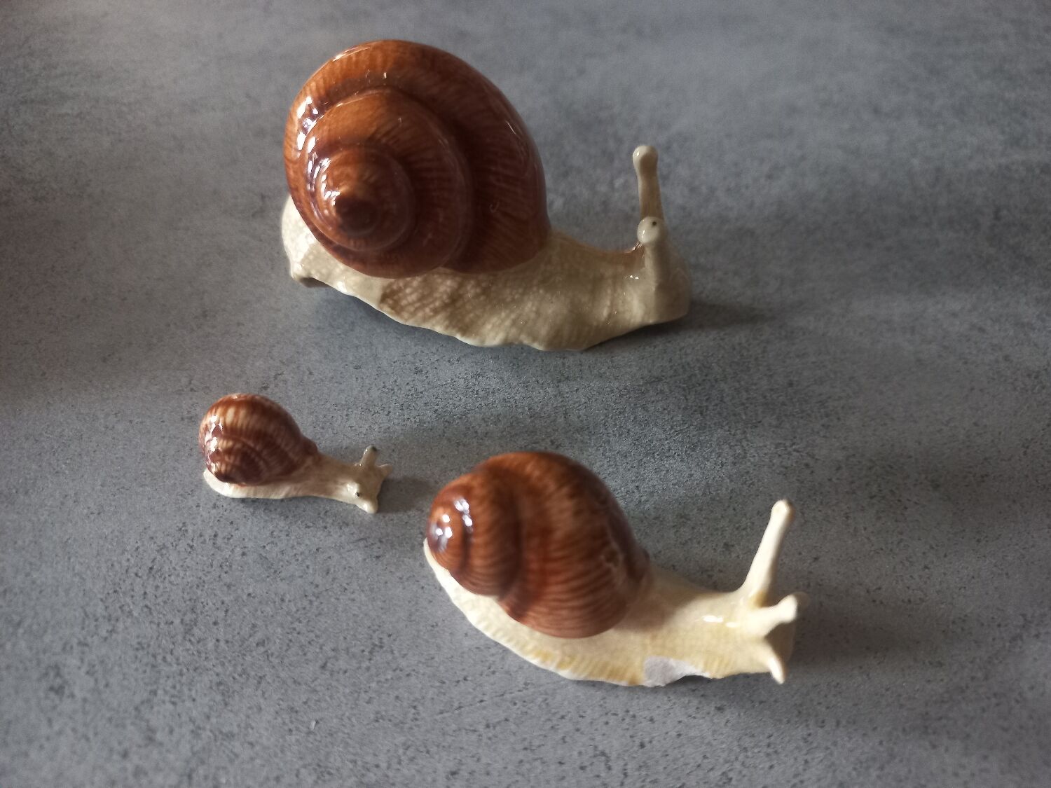 Family snails