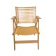 “Rex” Folding Chair design Niko Kralj for Stol Kamnik - Slovenia - 1950's