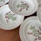 Set of 8 antique deep plates KG Lunéville, floral berry decoration.