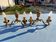 Pair of 19th Century Bronze Sconces