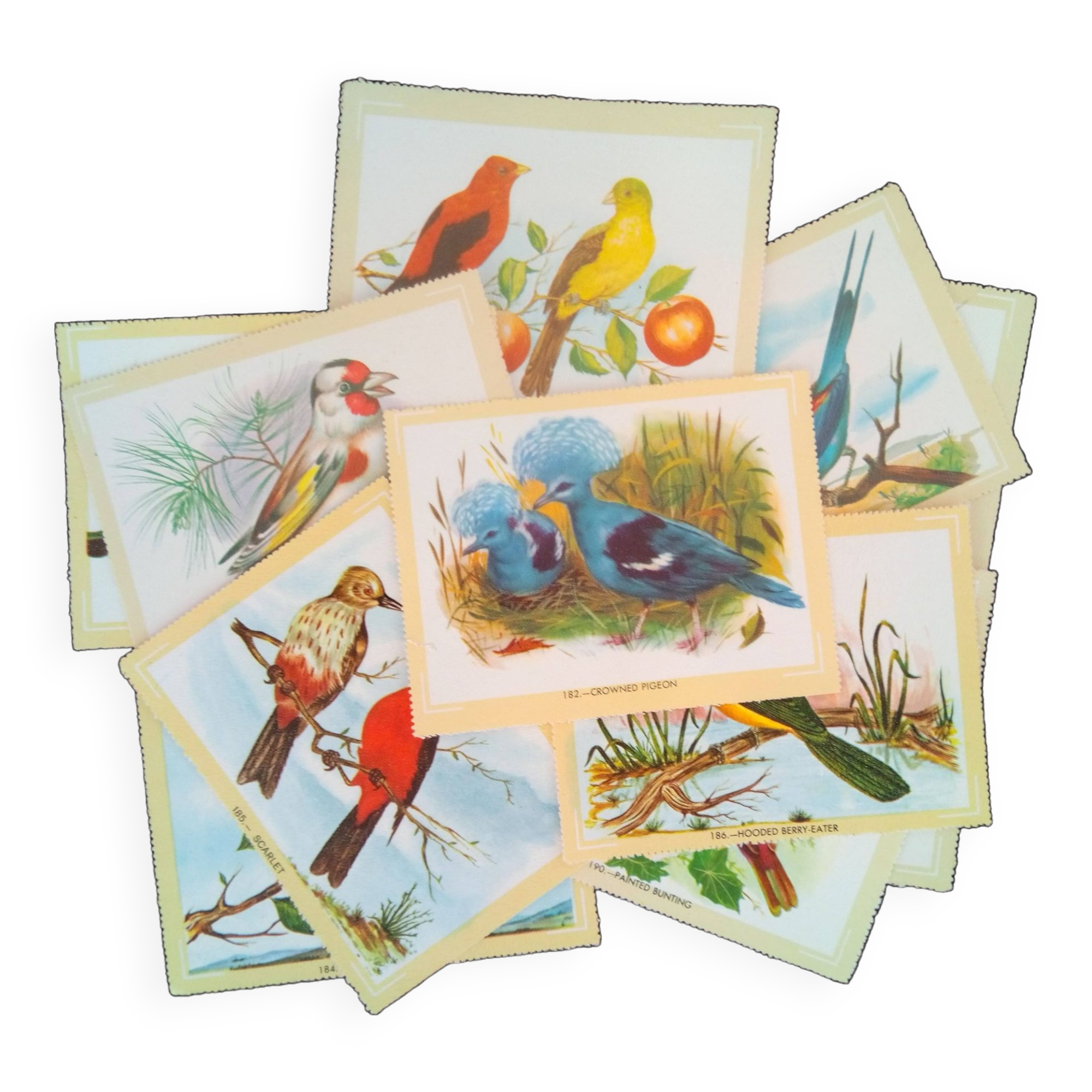 lot of zoological posters, birds, 60s