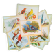lot of zoological posters, birds, 60s
